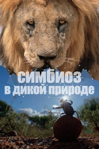 Симбиоз в дикой природе () смотреть онлайн
